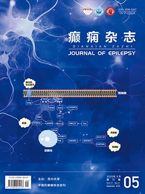 Journal of Epilepsy