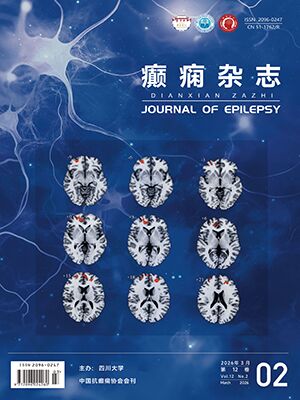 Journal of Epilepsy