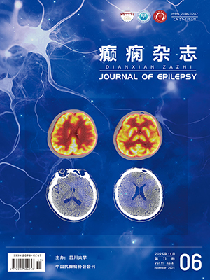 Journal of Epilepsy